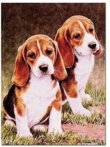 5D Diamond Painting, square drill Beagles-Hund 20x30cm DIY 5D Diamant Painting Bilder Kinder Erwachsene groß, Diamond Painting Set Diamant Malerei Kits Mosaikherstellung für Home Wand Décor Geschenk