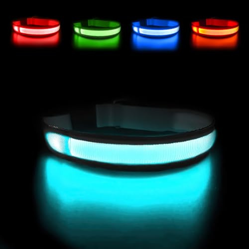MASBRILL Leuchthalsband Hund, Hundehalsband Leuchtend Aufladbar USB-C, LED Halsband für Hunde Einstellbare Wasserdicht, Halsband Hund Leuchtend 3 Lichtmodi für Kleine Mittlere Große Hunde(Schwarz M)