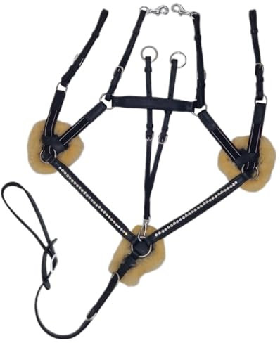 Tysons Breeches 5 Punkt Vorderzeug Halla Lammfell Strass Glitzer Leder Schwarz + Martingal (Pony) Hilfszügel