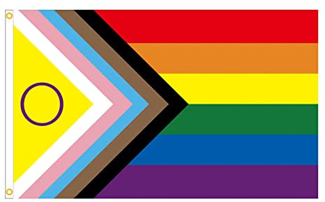 AINIUNIU Bandera Del Orgullo Gay 90X150cm, Doble Costura, con Ojales de Latón, Resistente al Viento y a la Lluvia, Resistente a la Decoloración UV, Arcoiris Orgullo Gay LGBT Festival