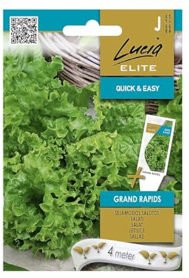 Lucia Elite | Lattuga - Semi GRAND RAPIDS | Semi di ortaggi | Semi di piante | Una varietà precoce, coltivata per la raccolta di primavera, estate e autunno | Semi di lattuga | 1 confezione
