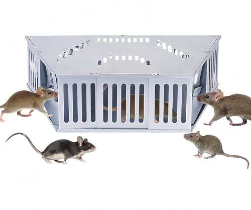 Galvanized Steel Humane Mouse Trap for Small Mice - Dual Entry Doors, 2 Bait Compartments, Auto-Locking Mechanism, Escape-Proof Design, Reusable Indoor/Outdoor Rodent Cage (Non-Toxic & Pet Safe)