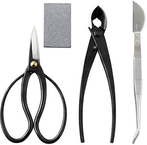 Wazakura Kit de 4 Outils Japonais pour Bonsaï et Jardinage Fabriqués au Japon, Ciseaux Traditionel 180mm, Coupe-Branches Concave 200mm, Pince en Acier Inoxydable, Gomme à Sève