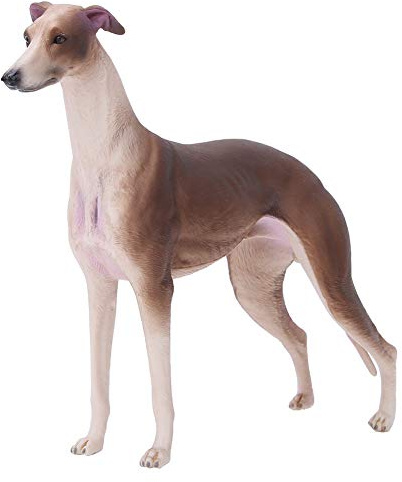 Tnfeeon Juguetes Animales Simulación plástico Figuras Animales Modelo Forma Galgo Juguetes Modelo Animal Salvaje Muñeca Educación temprana Regalo Juguete sólido niños