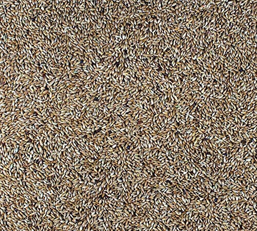 Johnston & Jeff 5kg Plain Canary bird seed food sold by Trusty Pet Supplies
