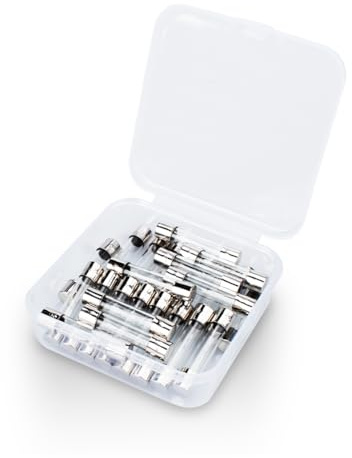 Innfeeltech 25pz fusibili in vetro a soffiaggio lento 6 * 30mm 250V 2A Slow Tube Fuse Assortment Kit