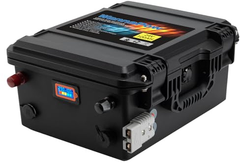 WannaPow LiFePO4 24V 100Ah Bluetooth Lithium Batterie,4000-15000 Tiefzyklus,100A BMS-Schutz,Geeignet für Solaranlagen,Wohnmobile,Boote,Haushalte,Solarpanels und Camping.
