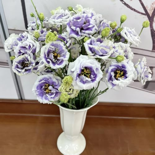 300 piezas semillas de lisianthus colorido plantas para lugares soleados, decoración de oficinas jardín de plantas flores de jardín, plantas de interior balcón invernadero semillas