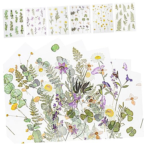 Operitacx 6 Pflanzenaufkleber scrapbooking sticker scrapbook stickers alte Aufkleber Blumentagebuch-Aufkleber Pflanzendekor hand konto aufkleber Tagebuchaufkleber Handkonto