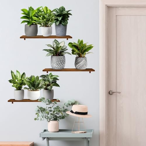 Adesivi Murali Piante, Realistico Verde Pianta In Vaso Impermeabile Wall Art Adesivi 3D Vinile Rimovibile Wall Sticker per Soggiorno Camera da Letto Bagno Cucina Decor Ufficio