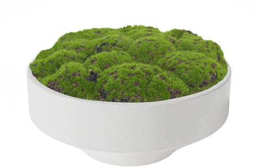 NAHARO New Moss Bowl, Handmade Ceramic Bowl. 11 Artificial Moss Centerpiece for Home Decoration, Living Room, Office