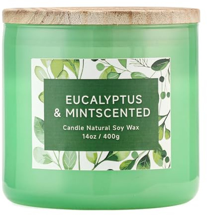 Eucalyptus & Mint Scented Candle - 3 Wicks 14 oz Soy Wax Candle, Christmas Relaxing Gift for Women and Men, Aromatherapy Candles for Stress Relief, Meditation, Yoga, SPA