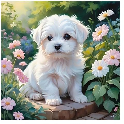 GLIDIAM Diamond Painting Hunde Welpen, Diamant Malerei Bilder Blumen Gänseblümchen, 30x30cm DIY Full Drill Basteln Erwachsene, Mosaik Stickerei Kreuzstich Geschenk für Wanddeko Wohnzimmer Schlafzimmer