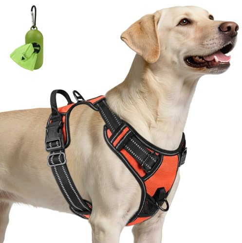 Joytale Anti-Traction Harnais Grand Chien, Orange, L