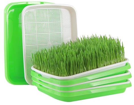 Jilskl 4 Piezas Bandejas de Germinación, Germinador de Semillas Bandeja, Unidades de Bandeja de Semillas, para El Cultivo de Frijol Mungo, Alfalfa, Hierba de Trigo, Brotes de Frijol, Verde