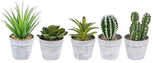 Ideen mit Herz Decorative Succulent Set | 5 Pieces | Artificial Cacti Plants in Real Look | Ideal Decoration for Office, Windowsill, Living Room, Bedroom, etc. (Grey Flower Pot | 10 to 16 cm High)