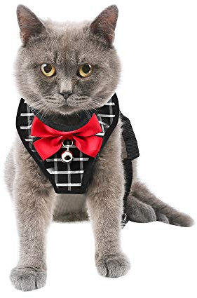 Katzengeschirr katzenleine Geschirr für Katzen Ausbruchsicher Welpengeschir, mit Leine Ultraleichtes Kitten Collar Coft und bequemes Brustgeschirr für Kätzchen und Kaninchen