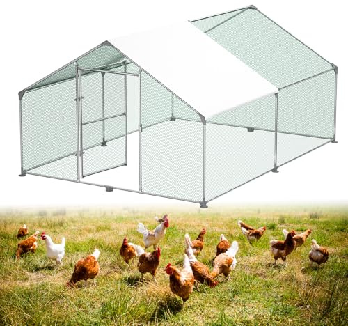 ACXIN Pollaio 3 x 4 x 2 m Recinzione libera pollaio porta con serratura pollaio, telaio in acciaio zincato rivestito in PE per galline, pollaio, gabbia per uccelli di piccoli animali