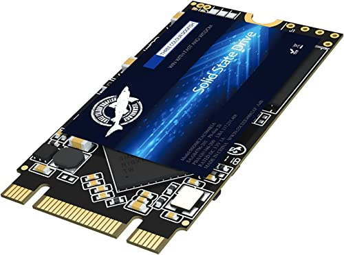 Dogfish 4TB SSD M.2 2242 NGFF SATA III 6 GB/s 3D NAND TLC Disco Duro Interno de Alto Rendimiento, Compatible con PC de Sobremesa y Portátiles (M.2 SSD SATA B+M Key)