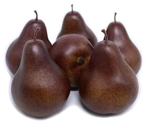 J-Rijzen 6pcs Fake Pears Artificial Fruits Vivid Brown Pears for Home Fruit Shop Supermarket Desk Office Restaurant Decorations Or Props (Brown)
