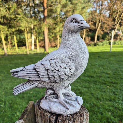 FABRIQ Handgefertigte Taubenfigur 24 cm – Schwarze wetterfeste Steinguss-Vogelskulptur – 3 kg – Handbemalt