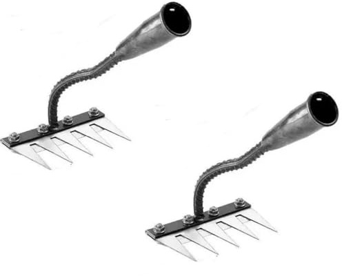【2 pièces】 Râteau de désherbage de Jardin en Acier au Carbone, râteau de Jardin en métal Robuste à 5dents, râteau en Fer de Jardinage et de désherbage, Outils de Jardinage, râteau à Main, désherbage