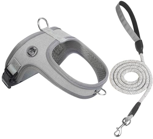 Dog Harness and Leash Set, No Pull Saddle Style Pet Harness, Breathable Mesh Adjustable Reflective Dog Vest for Medium Small Dogs Harness 2 D-Rings, Grey, L