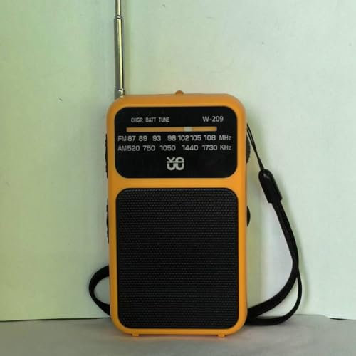 Radio AM FM multi-banda, radio compatta ricaricabile con torcia integrata, radio digitale FM, opzioni di alimentazione versatili (arancione)