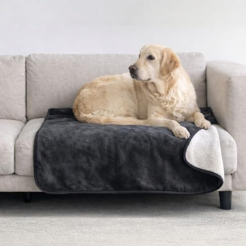 Dreamzie - wasserdichte Hundedecke Flauschig - 80x100cm - Dunkelgrau | Sherpa-Fleece · Waschbar · Decke für unterwegs, Bett, Sofa, Auto, Outdoor · Katzendecke · Weich · Wendedecke 2-in-1