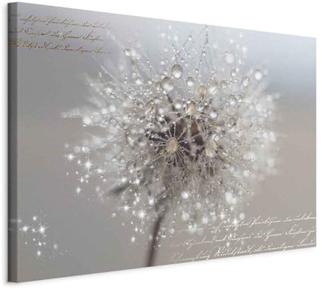 murando - Quadro Moderno per Soggiorno Grandi, Soffione, 90x60 cm | Chiodi Inclusi, 1 Pezzo, Stampa su Tela, Decorazione da Parete, Resistenti Allo Sbiadimento, Produzione Europea
