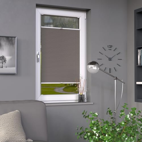Deco-Raum Plissee auf Maß Grau Fenster Plisseerollo Faltstore Jalousie Sonnenschutz Sichtschutz lichtdurchlässig Rollo für Fenster & Tür B:71-80 cm, H: 40-100 cm