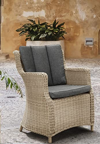 Destiny Gartensessel Luna 2er Set, Polyrattan + Aluminium, Natur meliert