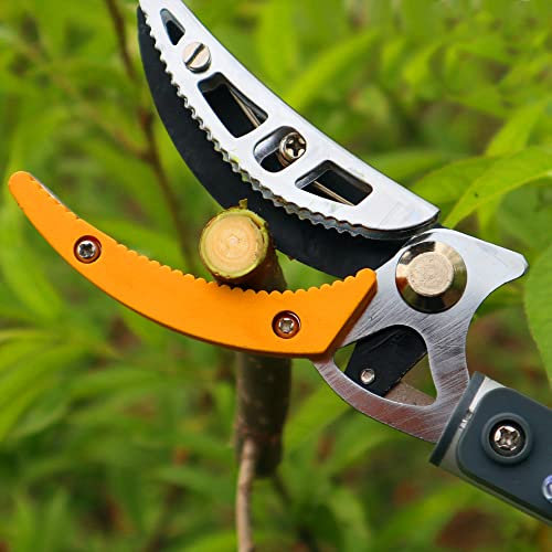 Telescopic Tree Pruner 120-220cm - Tree loppers Long Reach Fruit Picker Handled Shears Straight Pruning Shears for Arranging Flowers, Trimming Plants and Harvesting Herbs, Fruits or Vegetables
