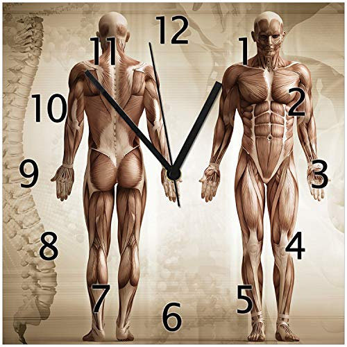Wallario Design-Wanduhr Anatomie Mensch I aus Glas, Motiv-Uhr Größe 30 x 30 cm, Schwarze Zeiger
