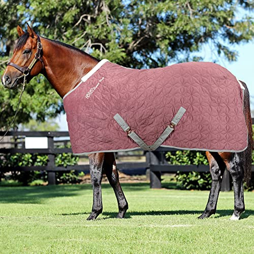 Horses Quazar Velvet 160 g Rosa 128 cm, hervorragende Verarbeitung, nützlich zum Schutz des Pferdes vor Temperatursprüngen