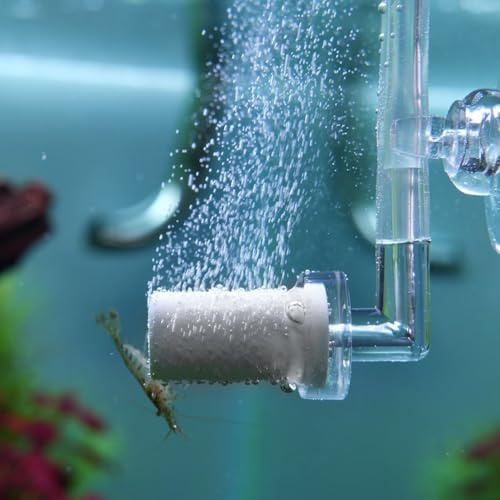 DONGKER Difusor de CO2, atomizador de CO2 acrílico con ventosa para plantas de agua de acuario