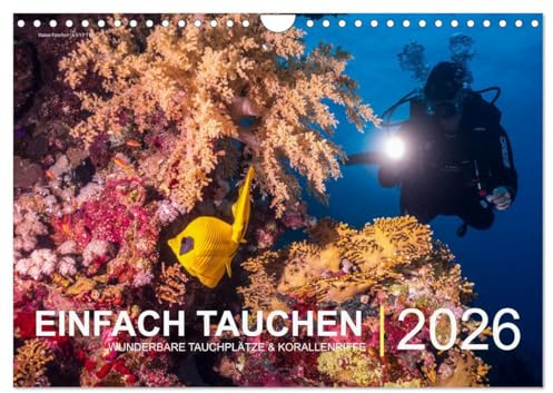 Einfach Tauchen - Wunderbare Tauchplätze und Korallenriffe (Wandkalender 2026 DIN A4 quer), CALVENDO Monatskalender: Farbenfrohe Unterwasserfotos der ... Reisezielen für Taucher. (CALVENDO Hobbys)