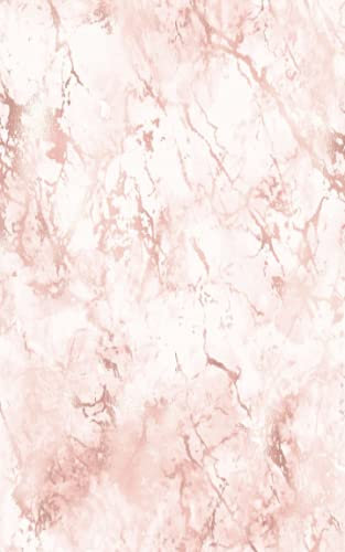Bitcoin Cryptocurrency & Digital Assets: Pink Marble Recovery Phrase Offline Security Password Notebook Ledger: Organized Index System With Tabs Dotted Logbook Journal: 5” x 8” 110 Pages