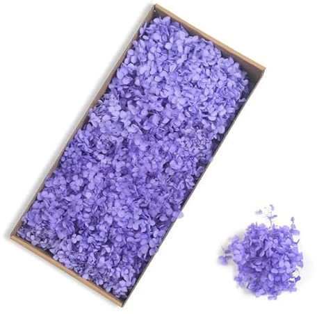 DAXXIN Fleur d'hortensia séchée Naturelle, 90-100g, Bouquet de Fleurs Fait à la Main, matériel de Fleur Immortelle, décoration de Mariage