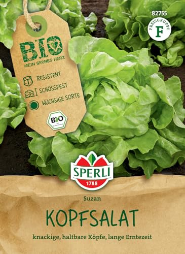 Sperli BIO Kopfsalatsamen Suzan 82755, Gemüsesaat | Der Kopfsalat, Salate, schossfest, aromatisch, Ernte ab Mai bis Oktober, für Beet & Freiland