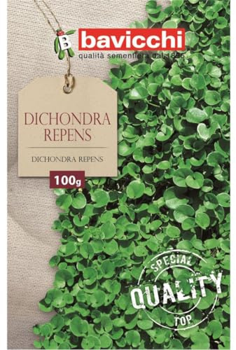 Risala Dichondra Repens No Mow prato morbido, intenso prato semi 500 g copre 100 m2