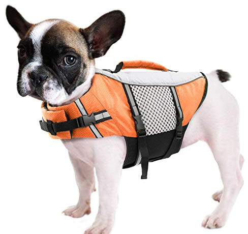 Queenmore Dog Life Jackets, Adjustable Swimming Vest, Lightweight High Reflective Pet Lifesaver with rescue Handle, Leash Ring (Orange,M)