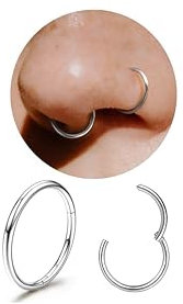 Diamday G23 Titan Nasenringe Hoops 20G 18G 16G Nahtlose Scharnierringe für Nasenpiercings Hypoallergene Klick-Septringe Helix-Ringe Lippenpiercings Daith Conch Tragus Rook Bauchnabel Gold/Silber