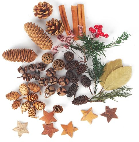 58 piezas corona de adviento decorar, Kit de manualidades para decoración de plantas naturales, piñas navidad, incluye conos de álamo, conos de arce, conos de abeto, estrellas de corteza de abedul