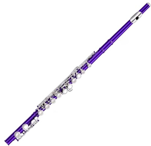 Flöte Musikinstrumente 16 Geschlossene Löcher C Ton Vernickelte Flöte E Taste Professionelle Leistung Langlebig(Purple)