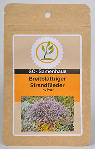 Breitblättriger Strandflieder Limonium latifolium 50 Samen SC-Samenhaus