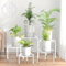 Ziwijity Juego de 5 soportes para flores de metal, soporte para plantas de interior y exterior, soporte para macetas para escaleras de plantas, soporte de hierro antioxidante para decoración de casa y