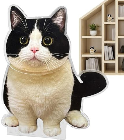 Katzen-Wackelkopf fürs Auto,Auto-Wackelkopf-Katze | Kleinwagen-Innendekoration,Acryl-Ornamente für Armaturenbrett und Schreibtisch, Tier-Schüttelkopf-Autodekorationszubehör