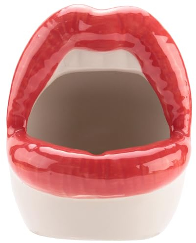 Qusedwey Maceta de Cactus Suculenta Creativa, Contenedores de Plantas de Flores PequeñAs de CeráMica, Maceta de Labios Grandes Sexy para Oficina en Casa, Rojo