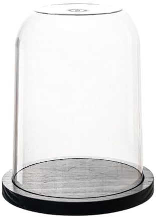 Kuntesetty Coperchio per Campana di Vetro Trasparente con Base in Legno per Decorazioni di Piccole Piante, 26x31 Cm